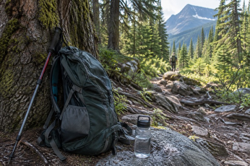 4-Hour Guided Nature Walk