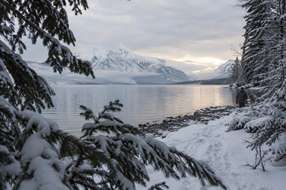 Snow covered evergreen forest along a quiet winter trail near a frozen lake