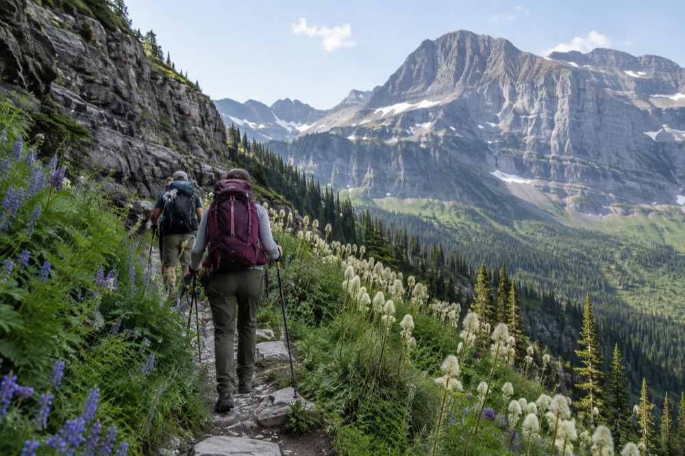 A small group of hikers on a trail through wildflowers below a mountain ridge