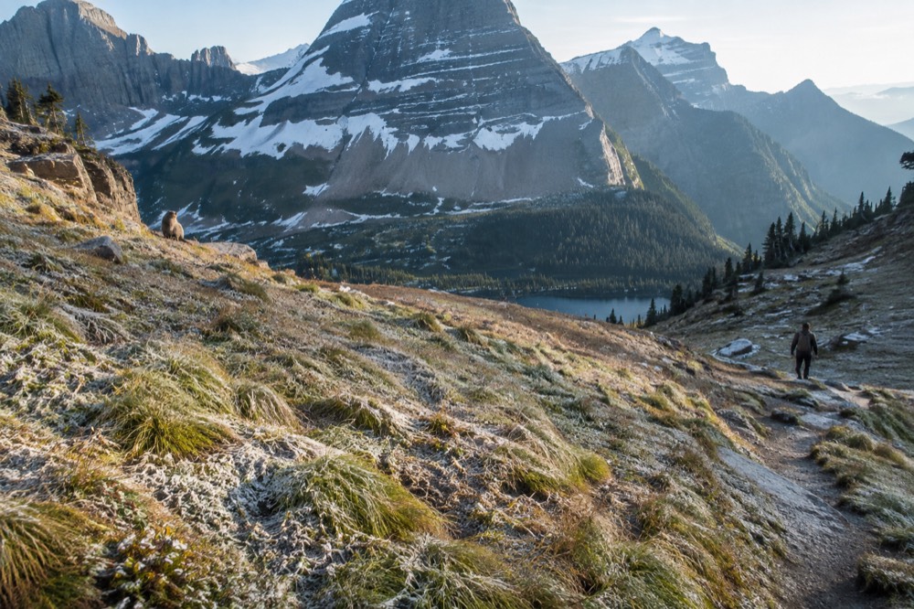 A wide mountain road curving along a lake with forested slopes in morning light