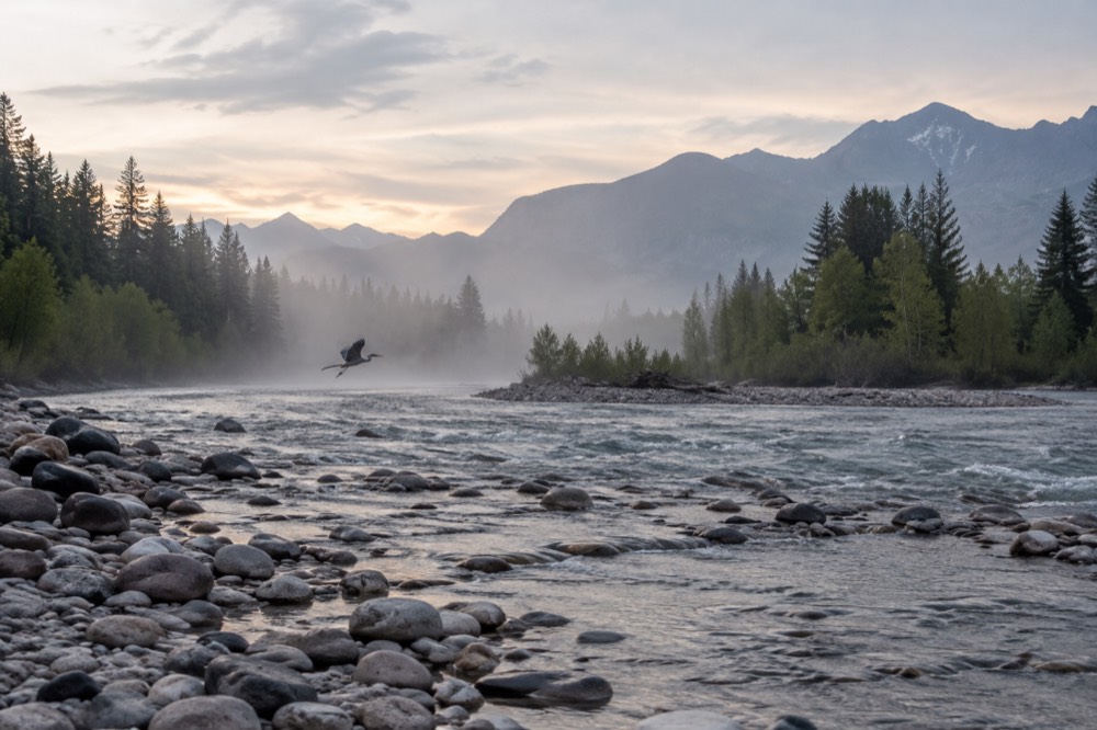 A calm river winding through a forested valley with mountains in the distance