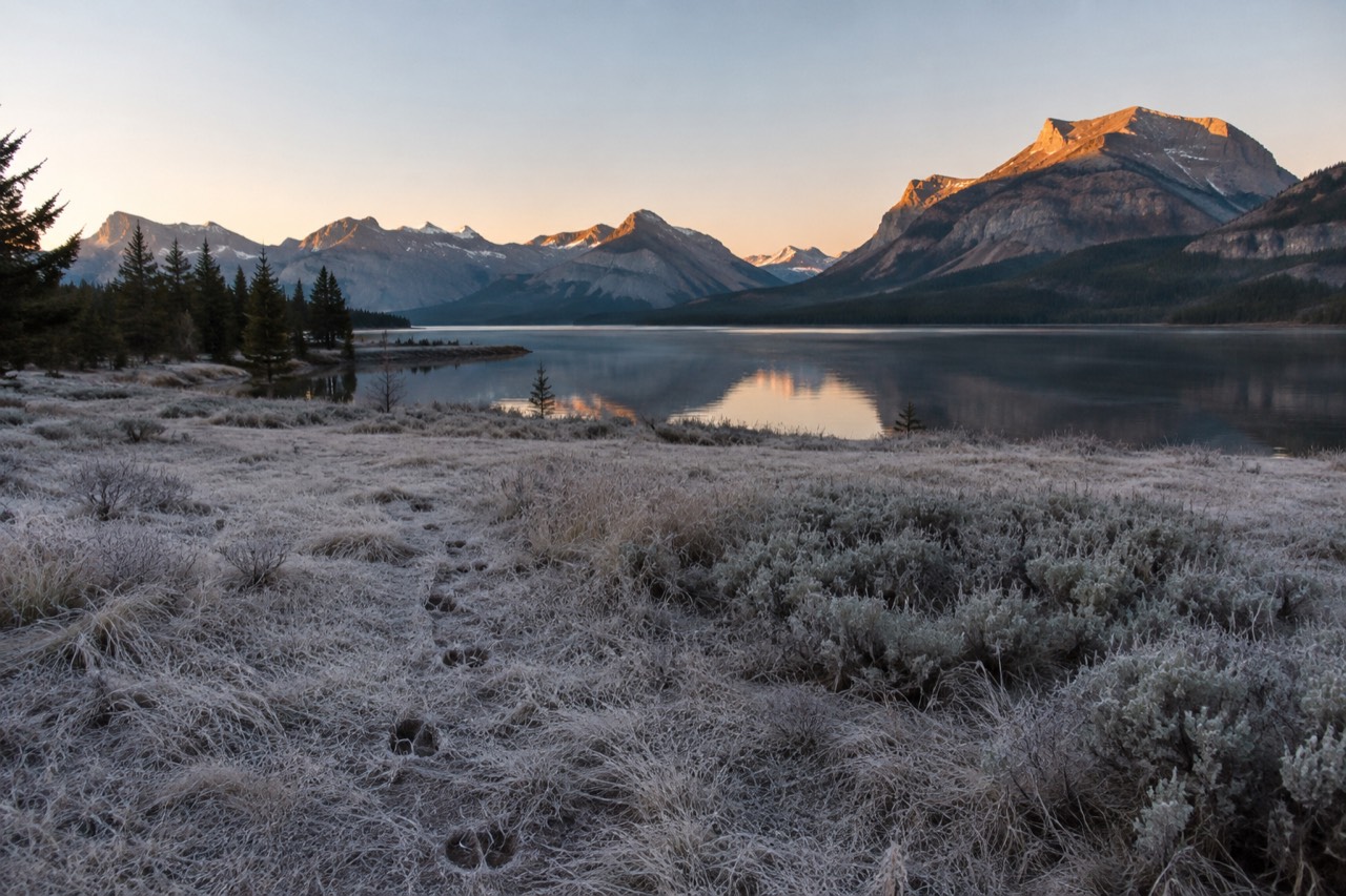 Mountain peaks reflected in a calm lake beside a forested shoreline at dawn