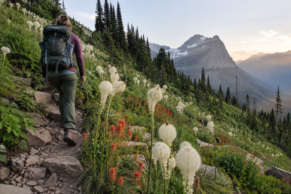 A narrow trail cut into a green mountainside with a hiker walking beside a steep slope of wildflowers