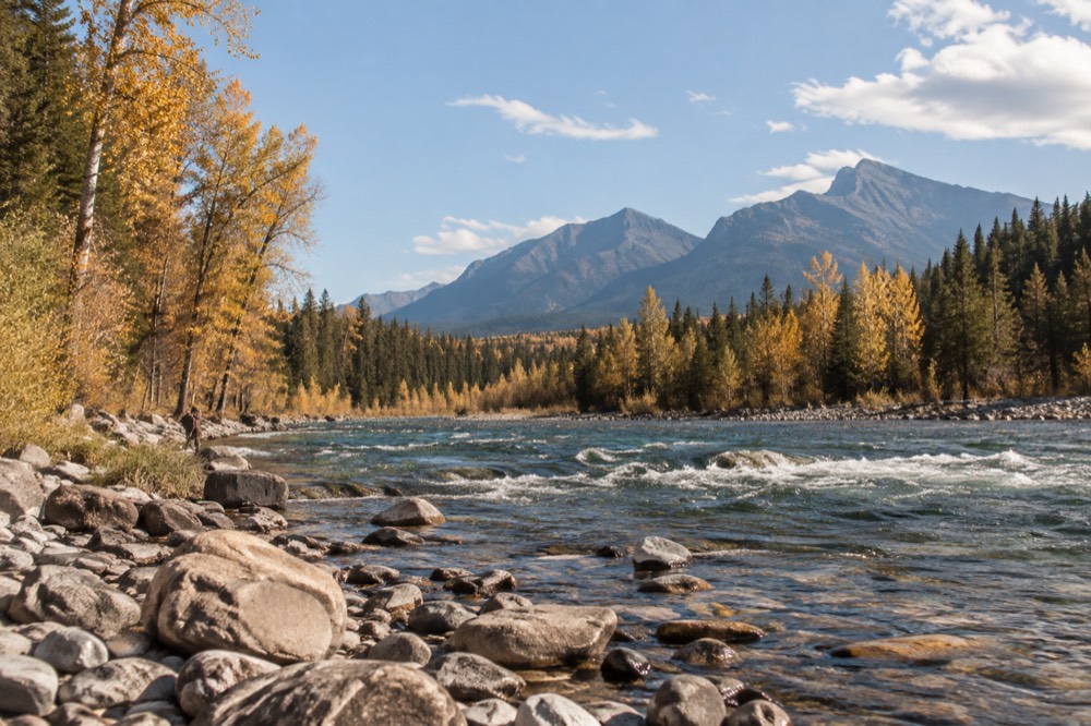 A river winding between forested banks with mountains in the distance