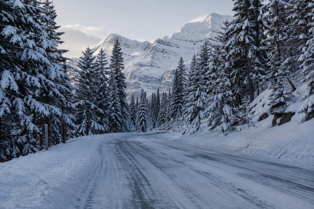 Snow-covered evergreens along a quiet winter road in a mountain valley