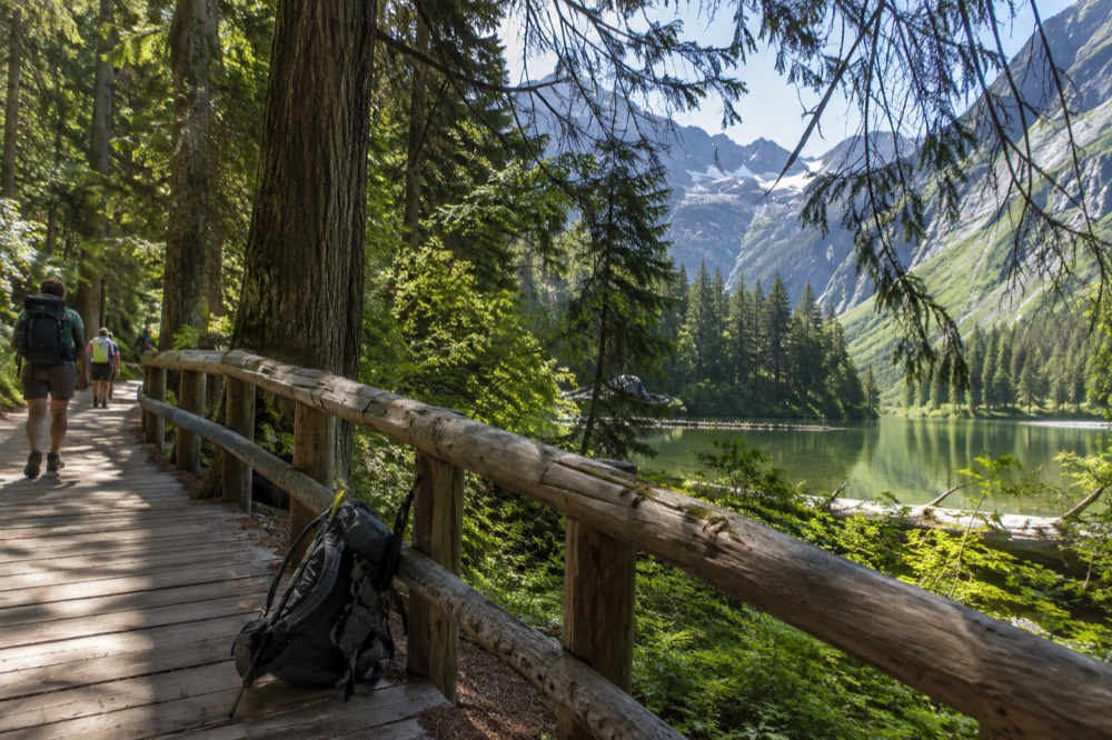 Visitors walking a boardwalk trail beneath tall cedar trees in Glacier National Park