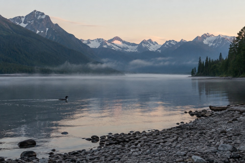 A calm river winding through a forested valley with snow-capped peaks beyond