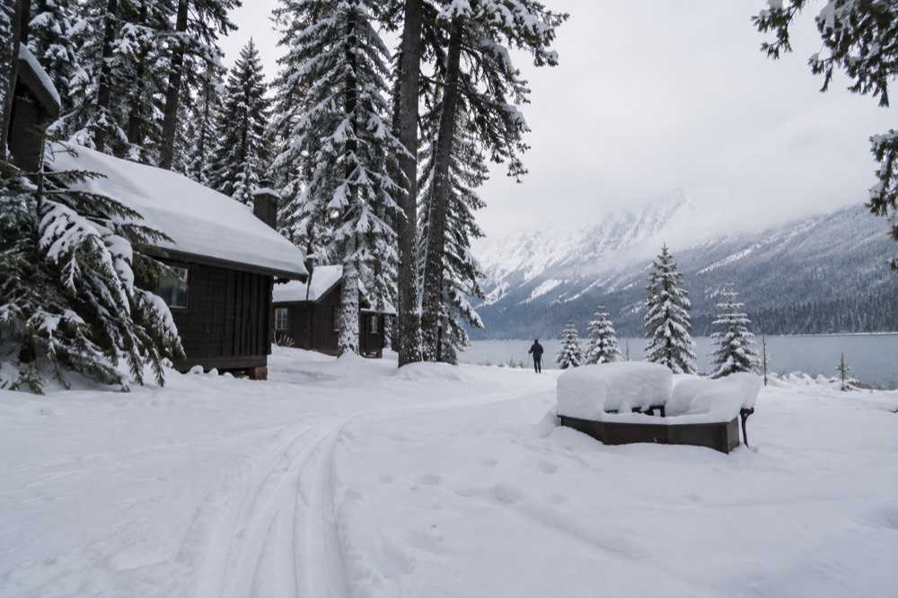 Snow-covered evergreen forest under a pale winter sky in Glacier National Park