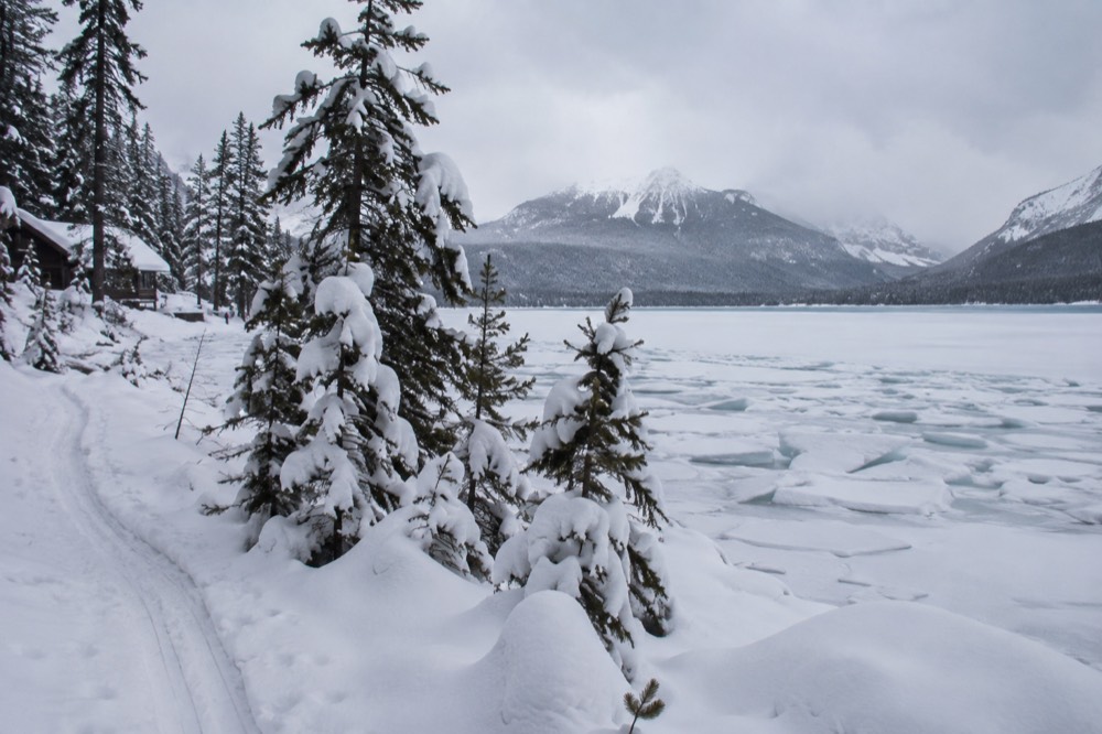 Snow-covered pine forest beside a frozen lake under gray winter sky