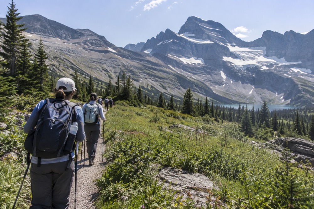 A group of hikers with walking poles on a trail through a meadow with mountains behind