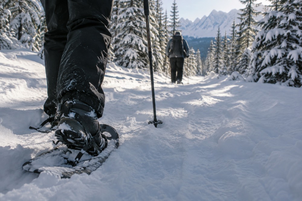 A snow-covered trail through a forest with sunlight filtering through the trees