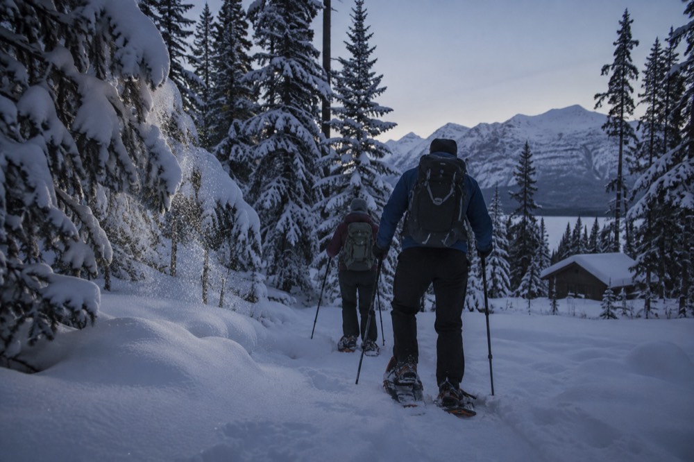 Snowshoers on a forest trail with snow-laden trees