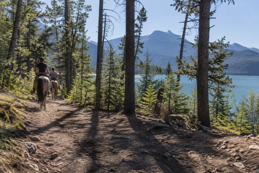 A horse trail winding through sunlit evergreen forest toward a glacial lake