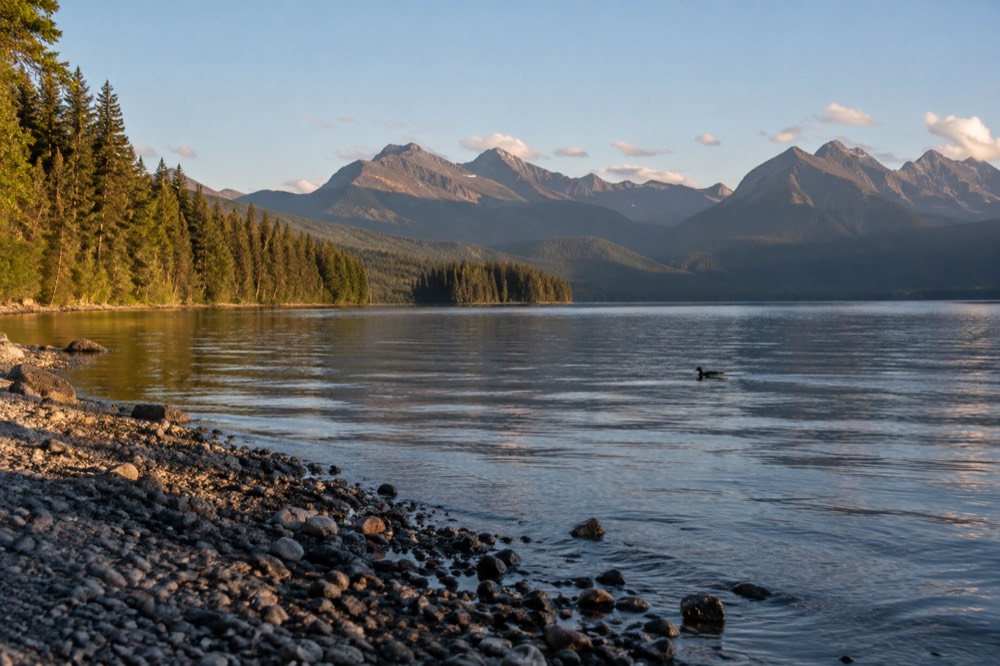 A mountain lake at golden hour with a gravel shore and dense forest to the water line