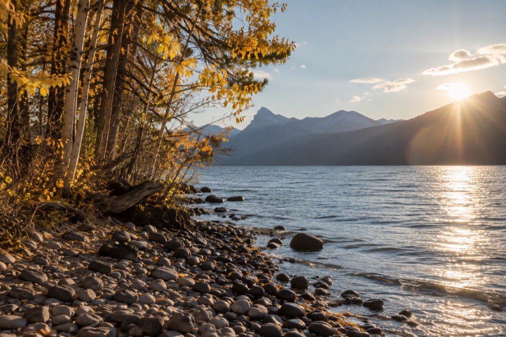 Golden autumn trees along a lakeshore with a low sun over distant peaks