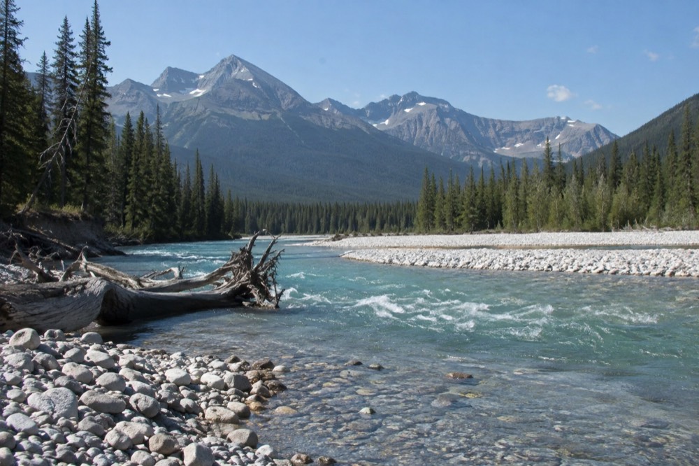 Turquoise river water flowing between gravel bars and pine forest