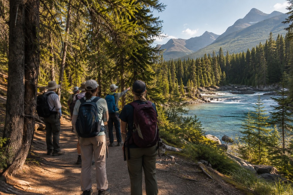 A forest path beside a turquoise river with mountains in the distance