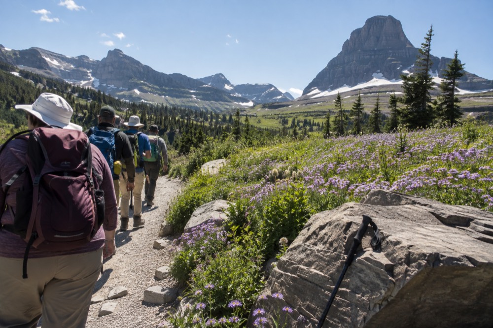 Visitors on a guided hike along a mountain trail with wildflowers