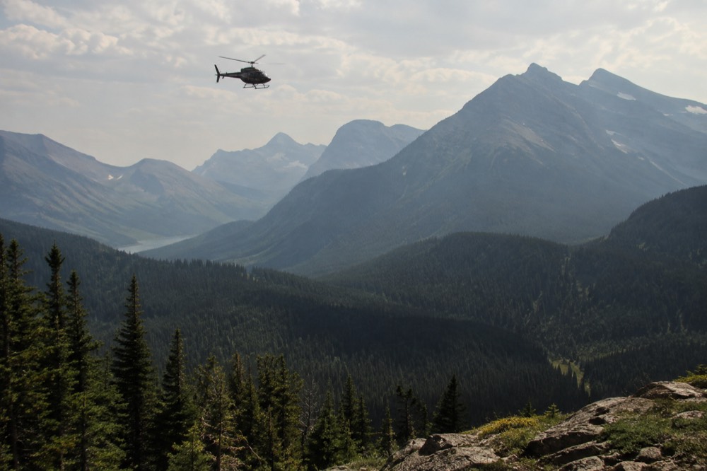 Helicopter flying above forested ridges near Glacier National Park