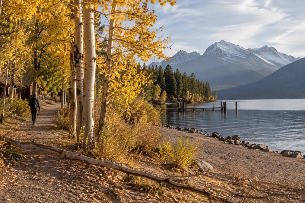 Golden aspen trees along a calm lake shoreline with distant snow-dusted peaks