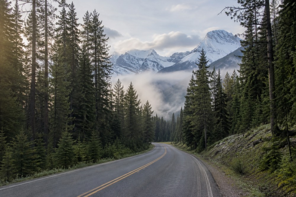 A quiet mountain road curving through pine forest toward distant snowy peaks