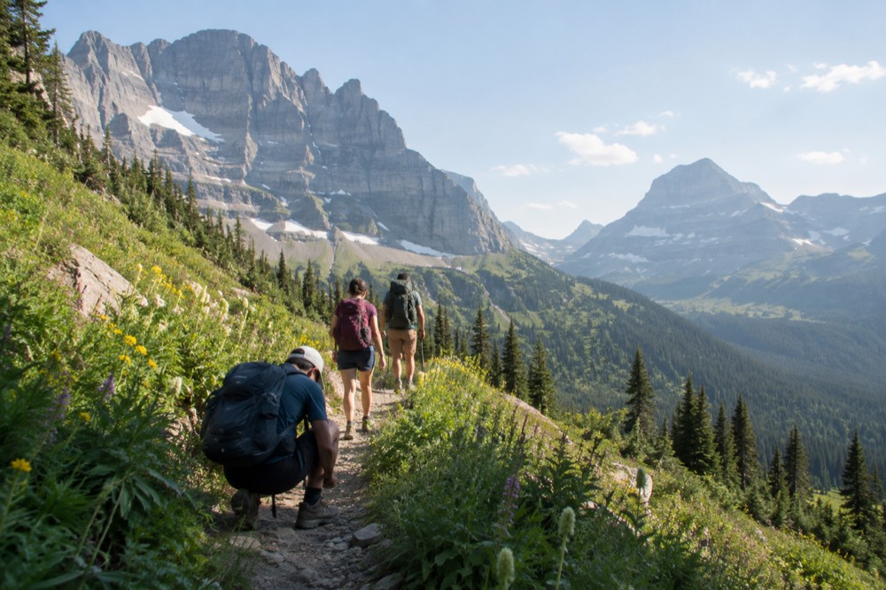 A small group of hikers on a trail through wildflowers below peaks