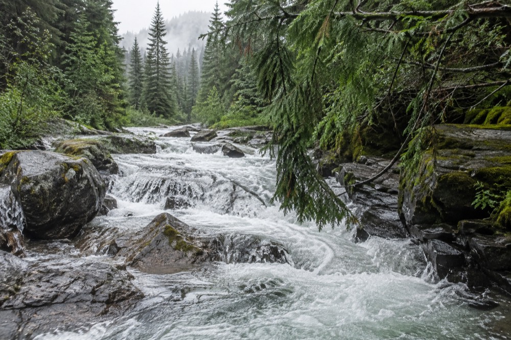 A swollen waterfall rushing over rock ledges beside a green forest trail