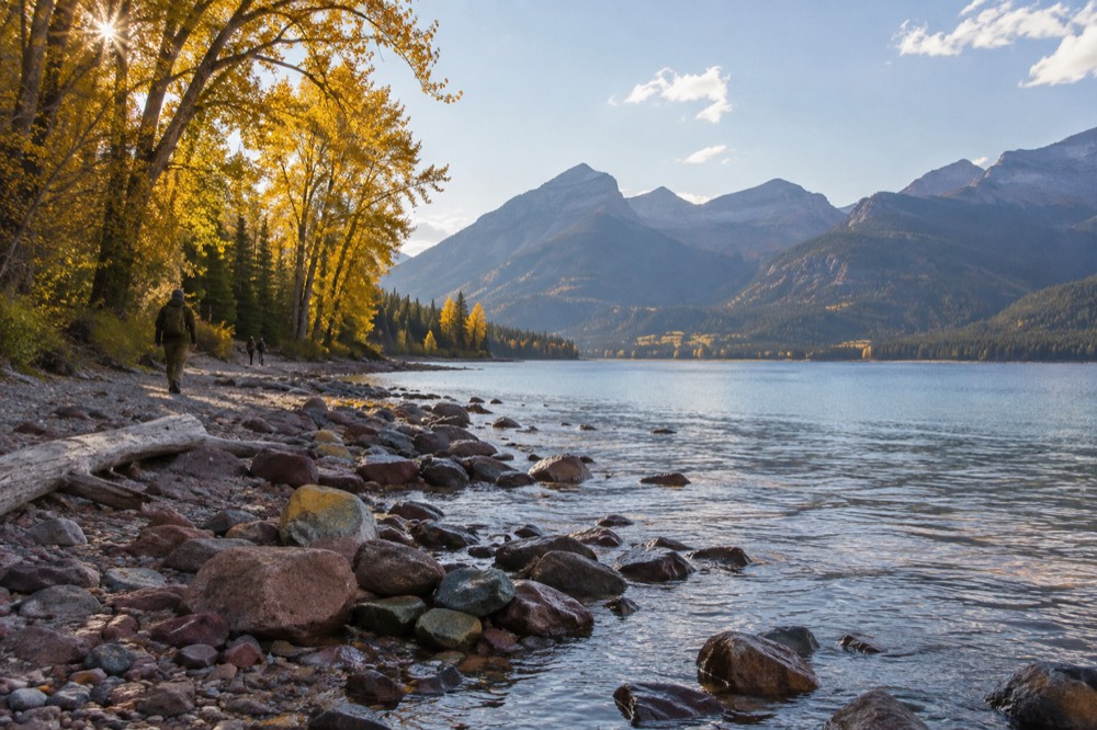 Golden autumn trees along a lakeshore with mountains in the background