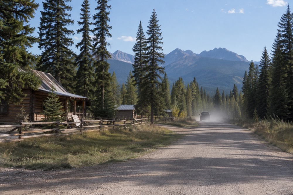 A gravel road winding through open forest toward distant mountains