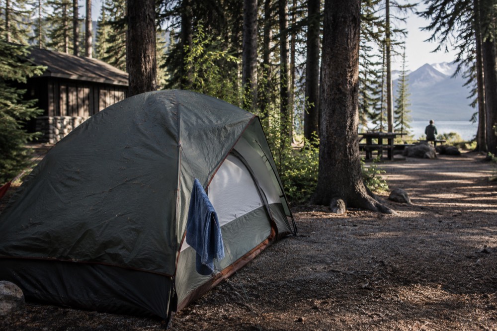 Tent campsite at Apgar Campground with tall pine trees and dappled sunlight.