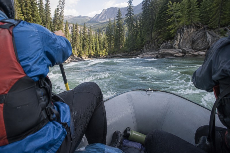 Rafters paddling whitewater on the Middle Fork of the Flathead River near Glacier National Park on a half day rafting trip